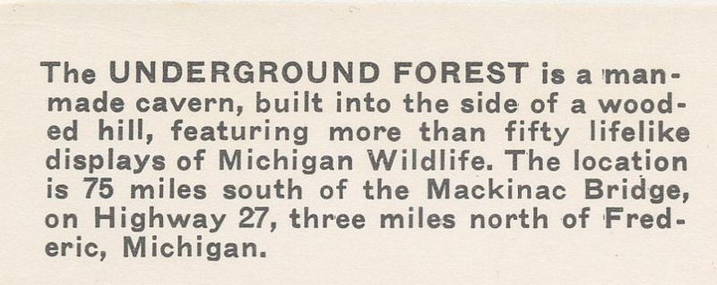 Underground Forest - Postcard Back